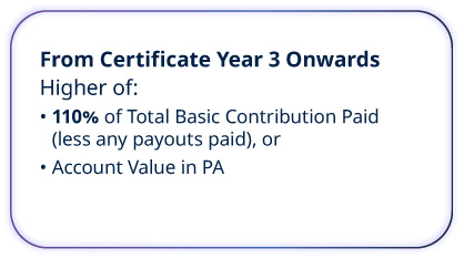 From Certificate Year 3 Onwards