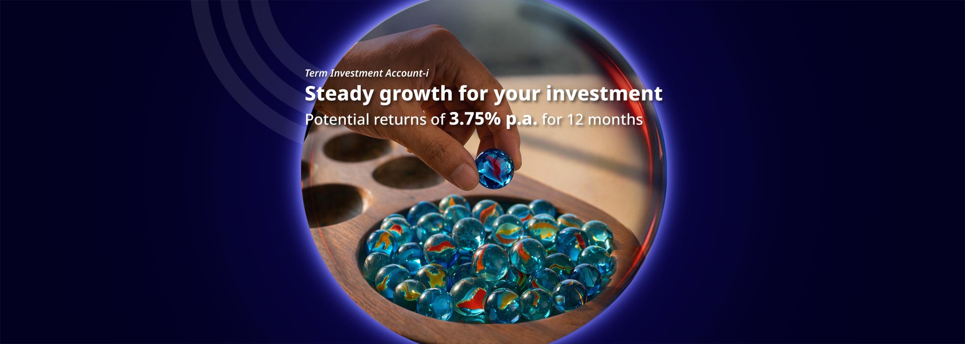 Steady growth for your investment